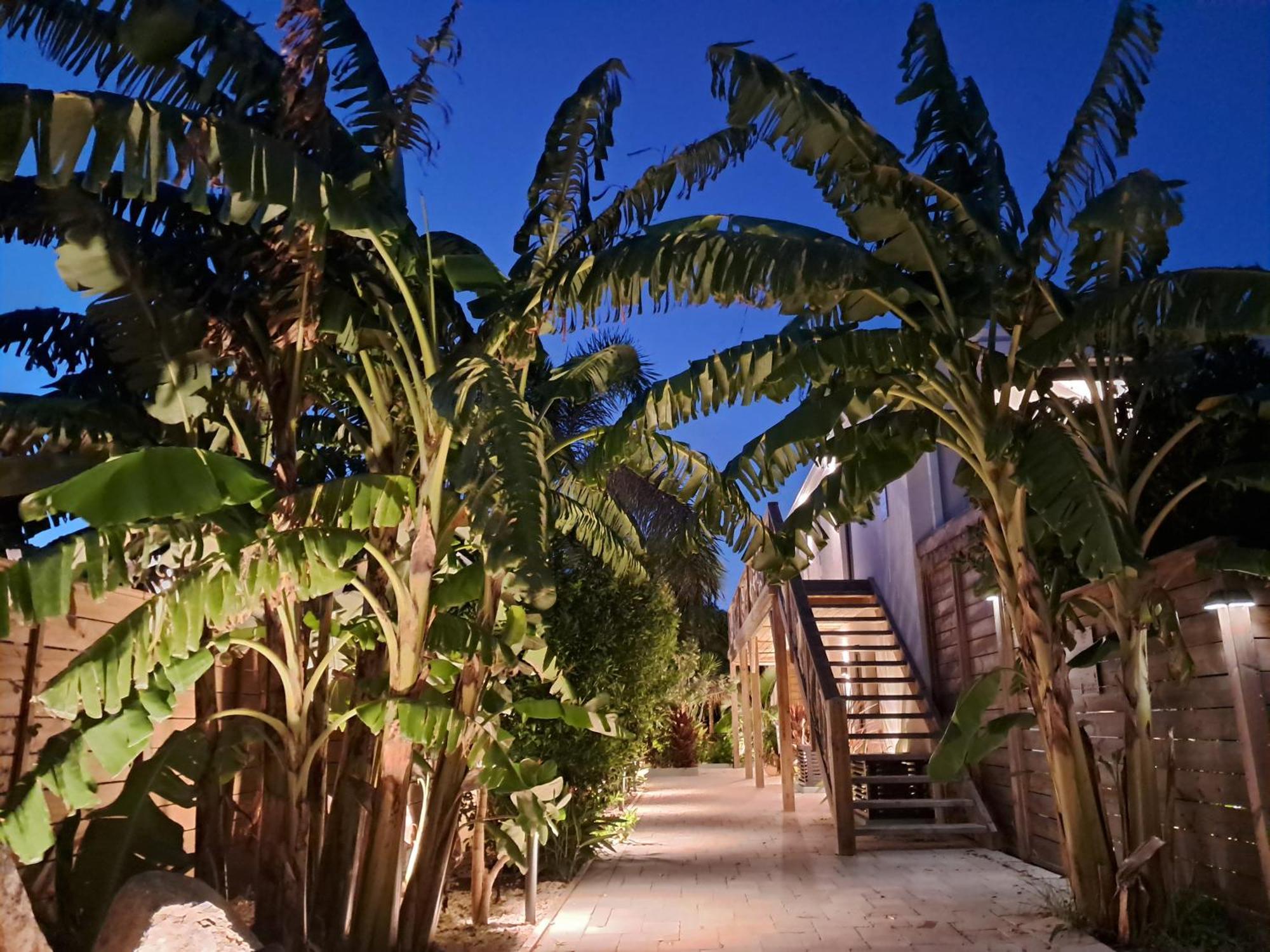 The Forest - Saint Martin 4 Etoiles Cul de Sac Esterno foto